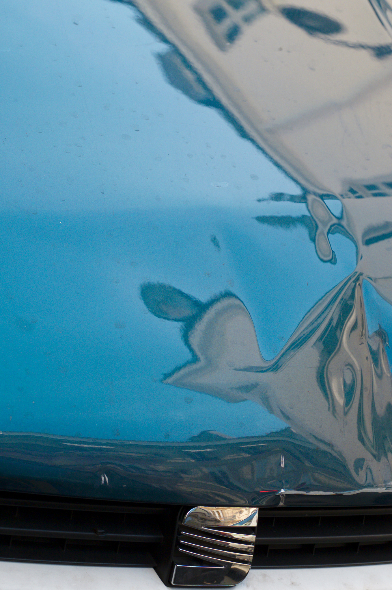Reflections 3